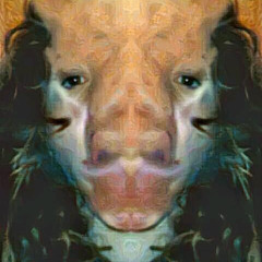 IAMSEKHMET33
