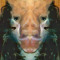 IAMSEKHMET33