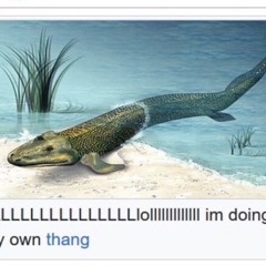 ZnHA☆〜（ゝ。∂）