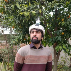 Muhammad Aamir Suhail