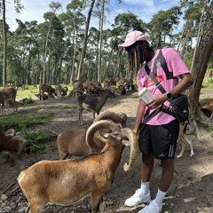 Kingzeezy
