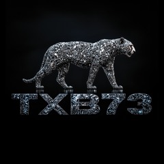 TXB73