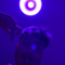 yunge1312