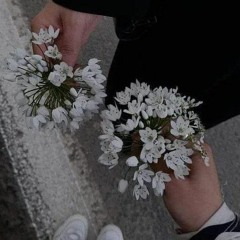 My love