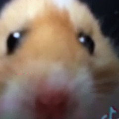 porky