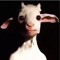 Cabrito