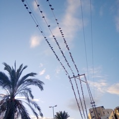 momo_time