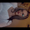 chickchar98