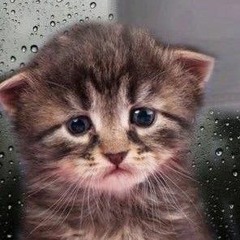 💖
