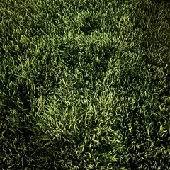 青木悠斗