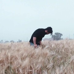 amir