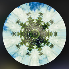 senescence_ca