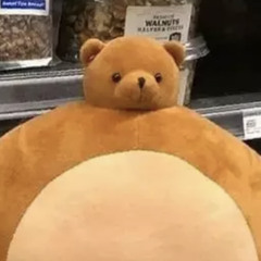 Stav Hameiri