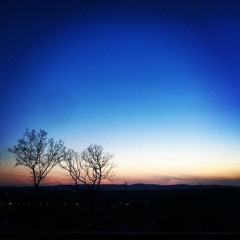 Bound by Blue