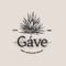 Gáve
