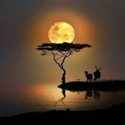 Bien Man- Tran Thien Thanh