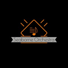 Seaborne Orchestra