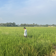 Amir Syafiq