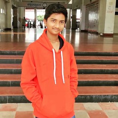 Shaik Ibrahim Afzal