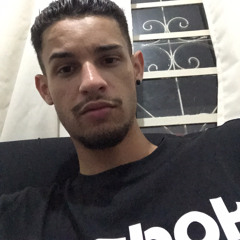 Vitor Hugo L. P.