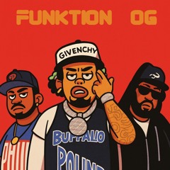 funktion og
