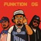 funktion og