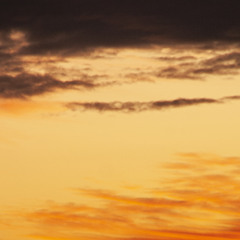 el impulso abriéndose camino