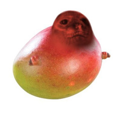 aph