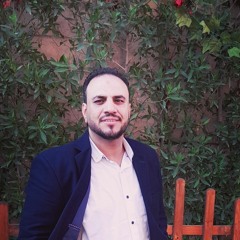 sayed amin