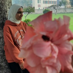 Toka Elbahnasy