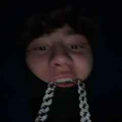 ch1nkz