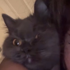 BOBY