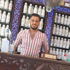 Alaa Saleh