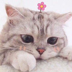 Ahihi