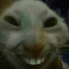 SegsyBoi
