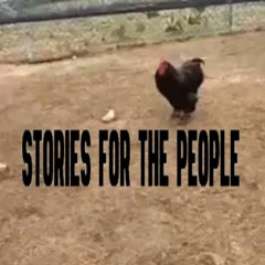 Stories For The People