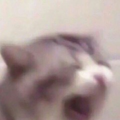 ;-;