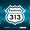 Positively 313 Podcast