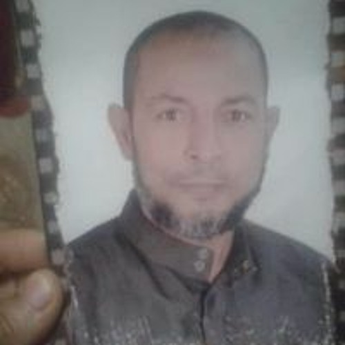 Hany Abuo Shahbeh’s avatar