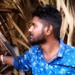 majanchintu