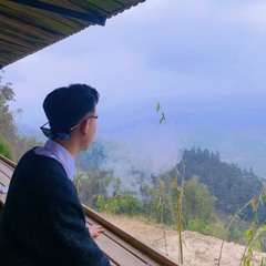 Nguyên Tập Đánh Nhạc
