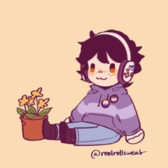 sock