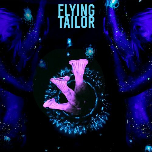 Flying Tailor’s avatar