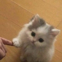Miko