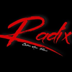 Radix (DJ)
