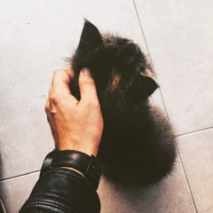 Ismail O Postalcioglu