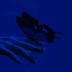 darkamour
