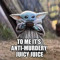 Yoda