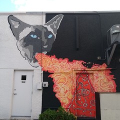 xrachoox
