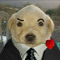 Mr.Pacule